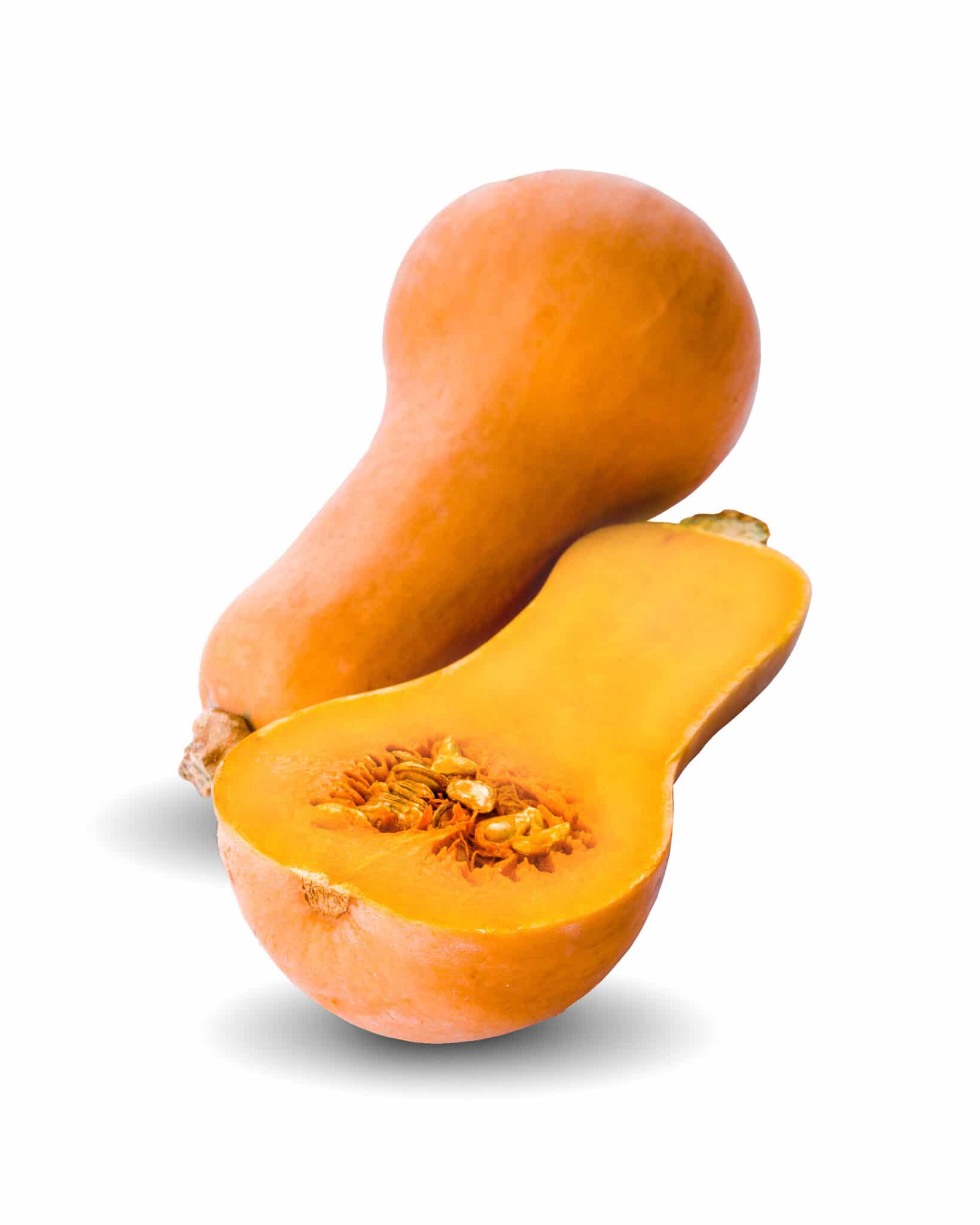 Butternut squash against a bright white background.  The image is meant to identify plants that do not make good companions for cauliflower. 