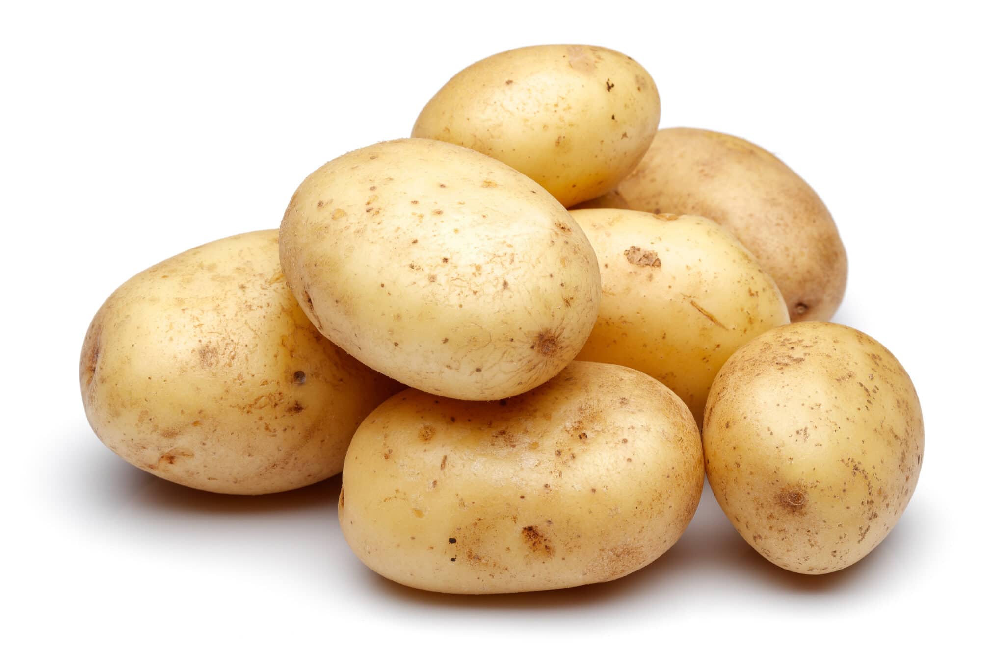 an image of freshly harvest potatoes against a bright white background. 