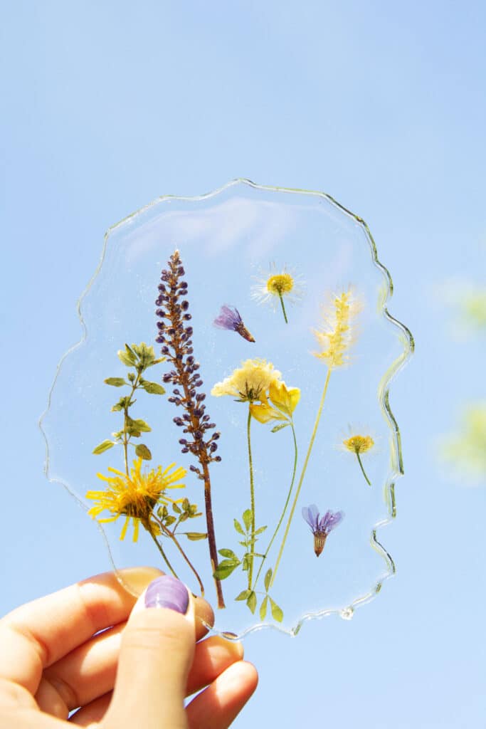 How Long Do Dried Flowers Last?