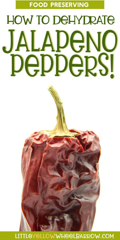 How to Dehydrate Jalapeno Peppers Easily At Home