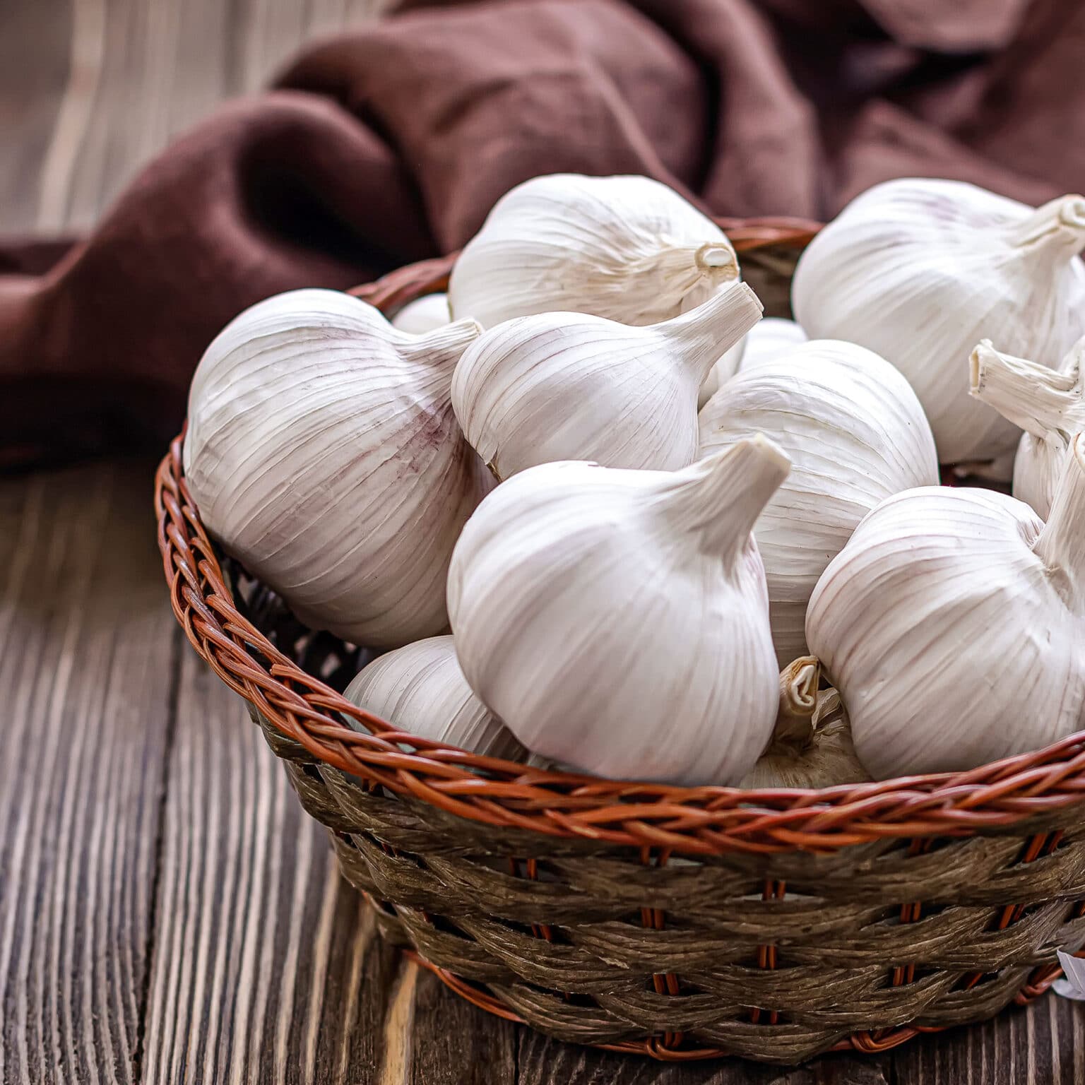 How to Grow Garlic In Pots Step By Step