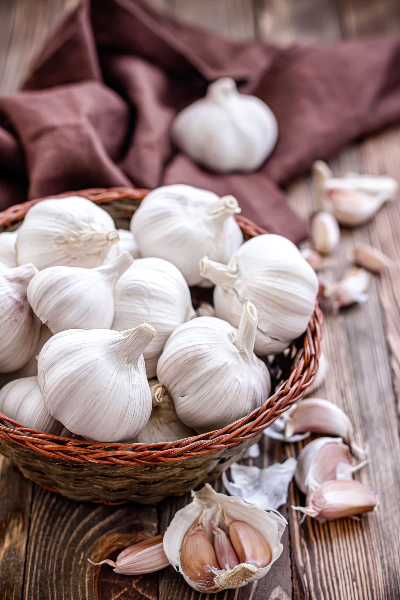 Basket of harvested garlic with a bulb broken open to reveal the cloves.