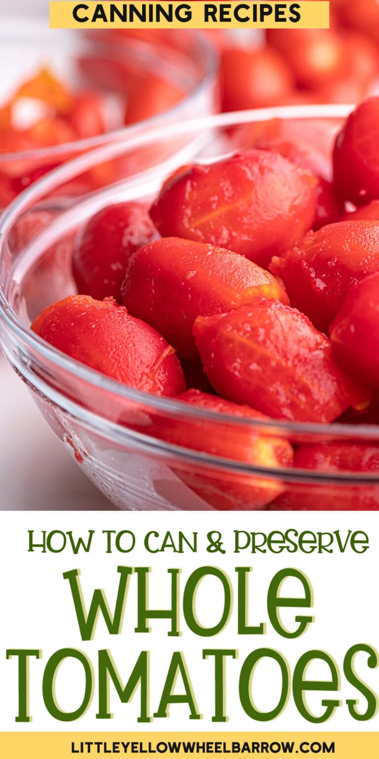 Canning Tomatoes Whole The Quick and Easy Cold Pack Method
