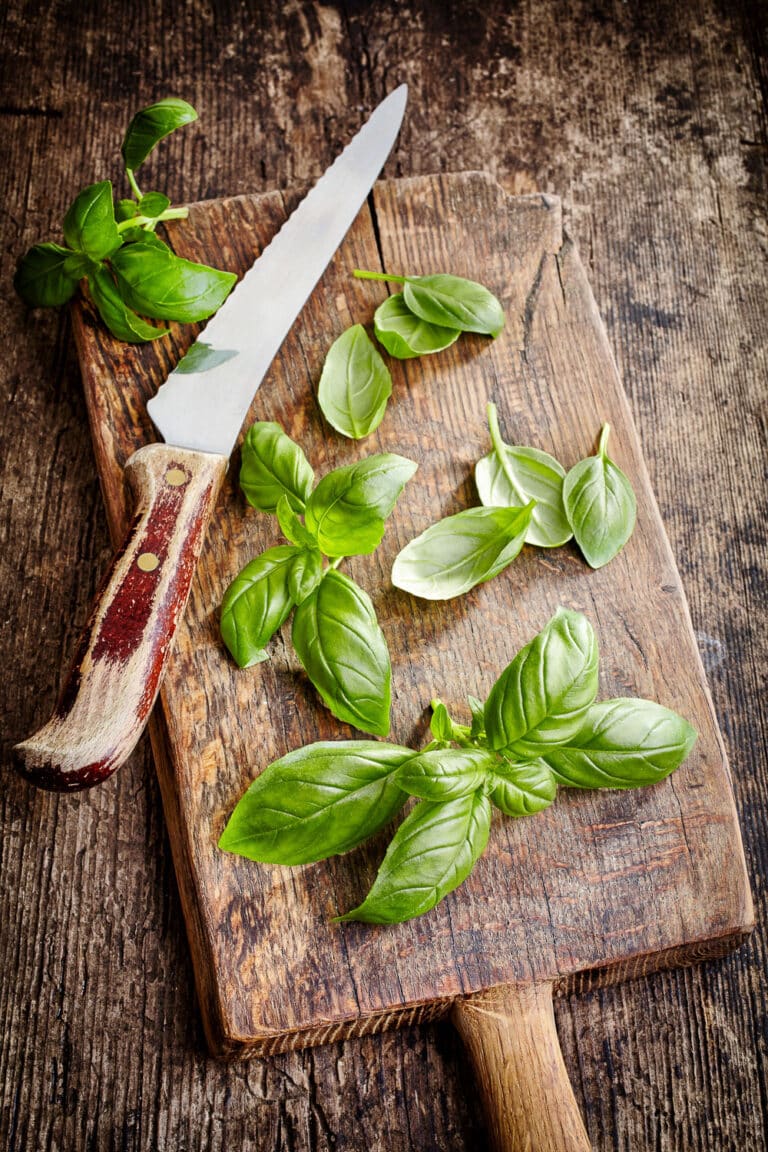 The Best Basil Companion Plants for Your Garden