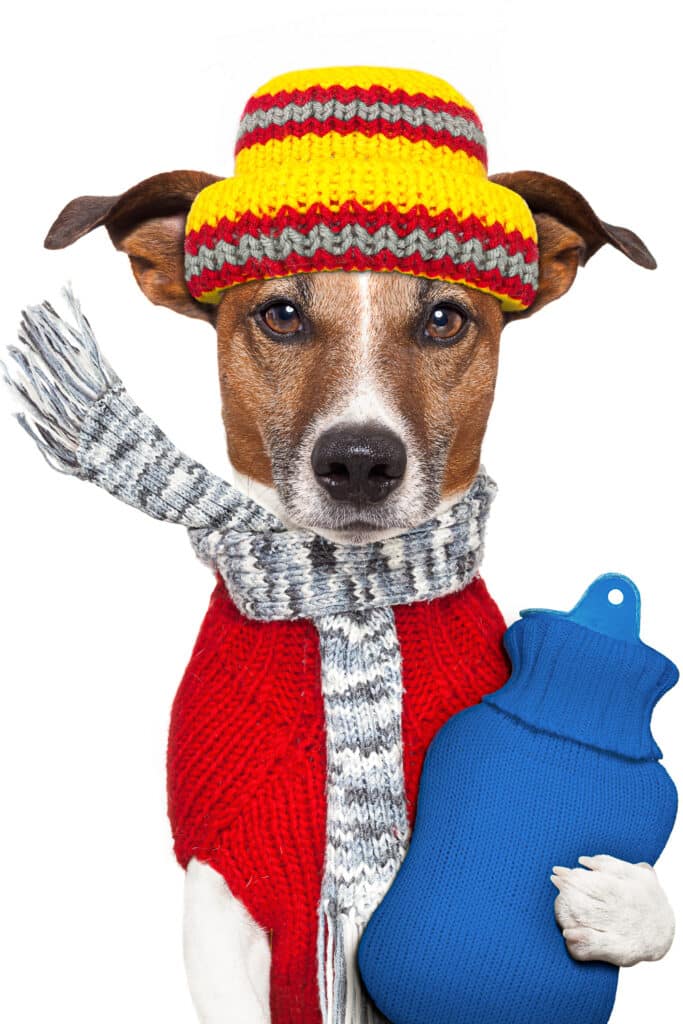 21 Smart Ways To Stay Warm In Winter