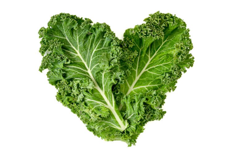 The Best Kale Companion Plants For A Robust Harvest