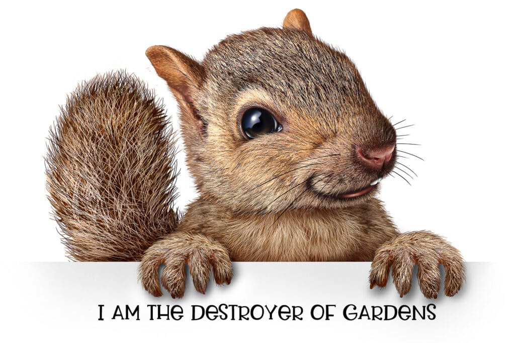 Artist's render of a cute squirrel, captioned "I am the destroyer of gardens."
