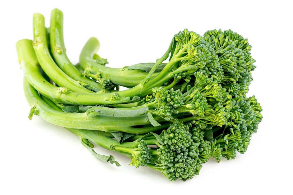 When to Harvest Broccoli for the Freshest and Most Flavorful Bites