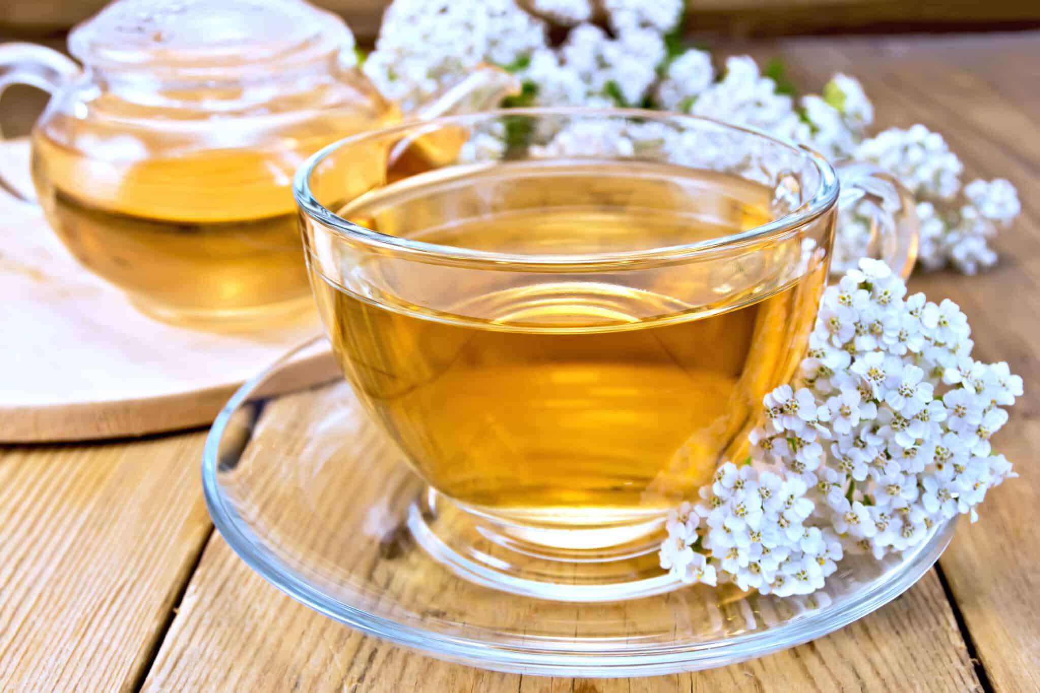 A clear tea cup with brewed yarrow tea on a rustic table top with scattered white flowers.