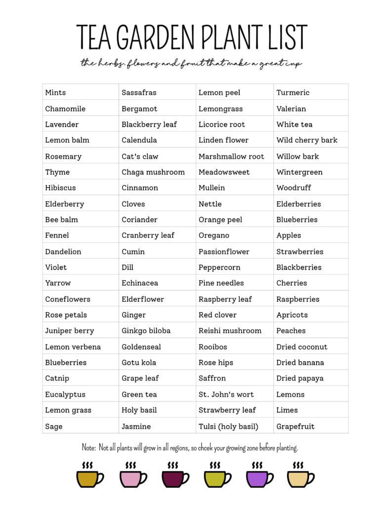 Tea Time Anytime A Guide to Growing An Impressive Tea Garden