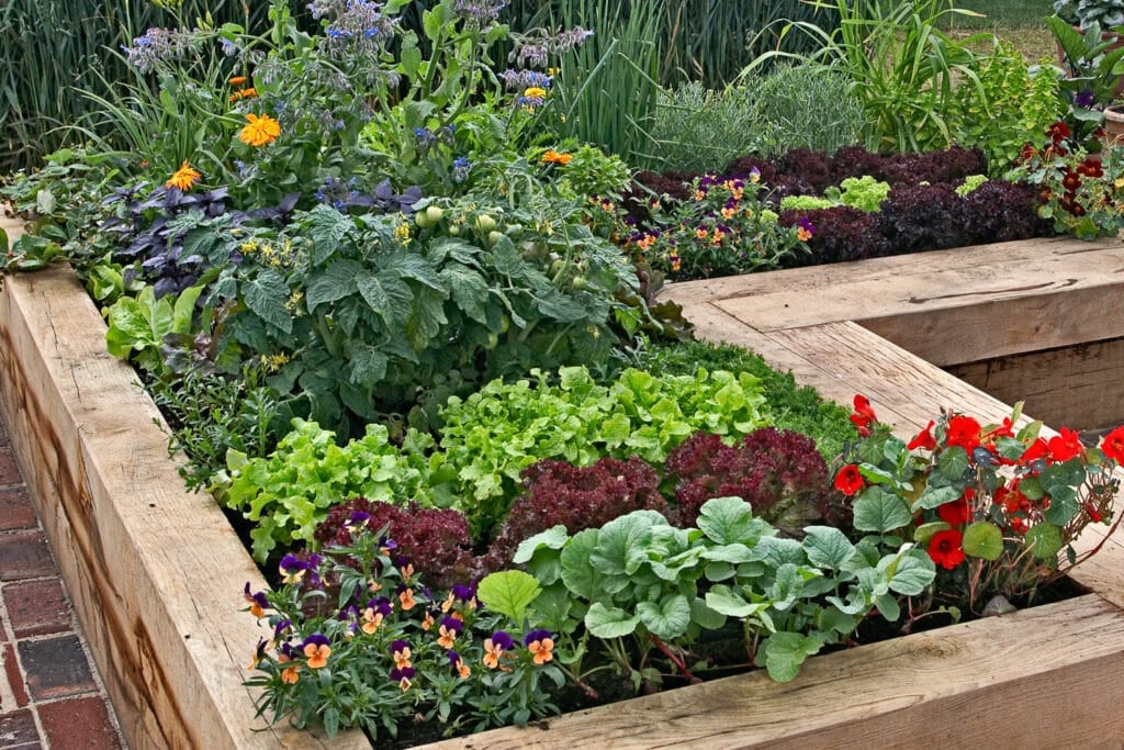 printable-square-foot-garden-grid-instant-download-pdf-etsy