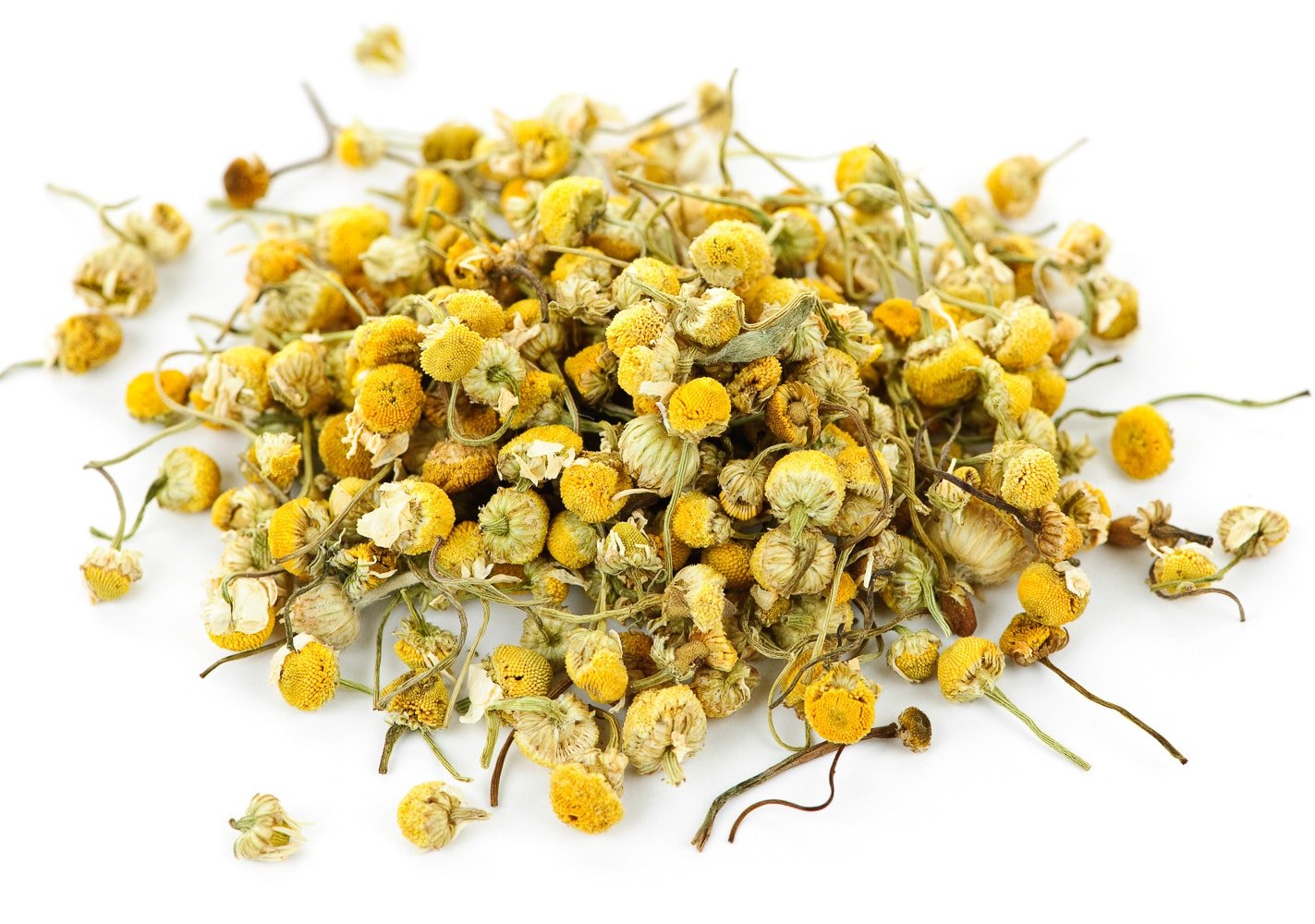 Pile of medicinal yellow chamomile herb buds with the petals removed.