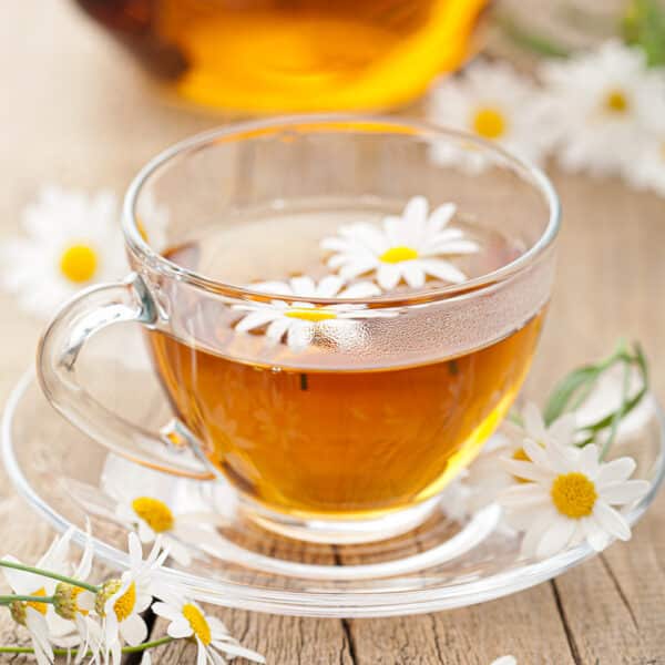 Grow Chamomile For Tea Relax. It's Easy!