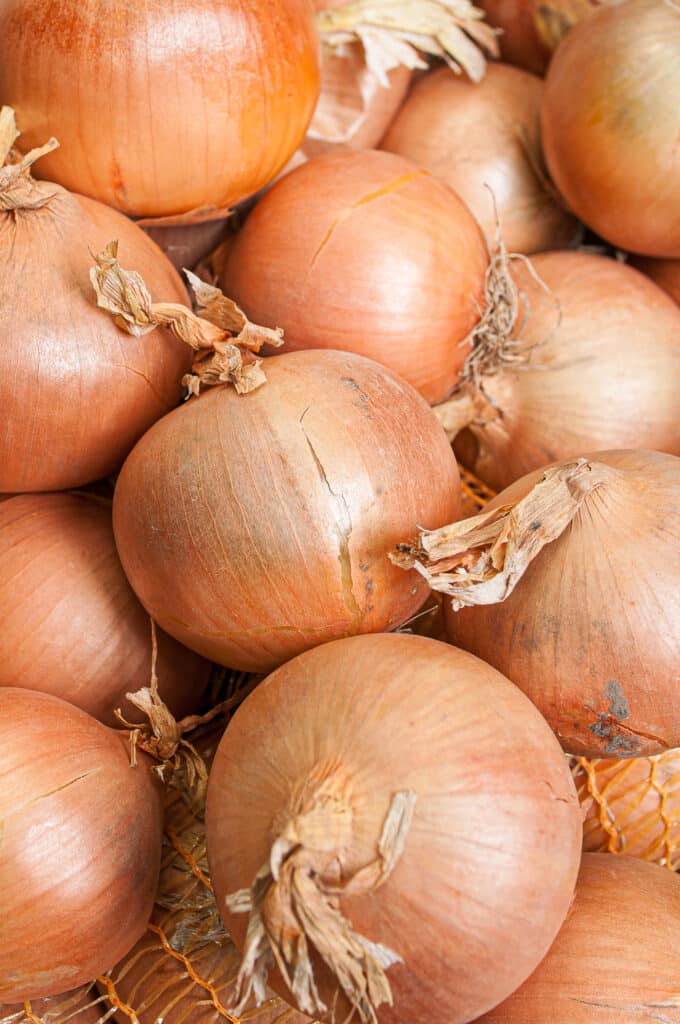 When to Harvest Onions for Optimal Flavor The Full Guide