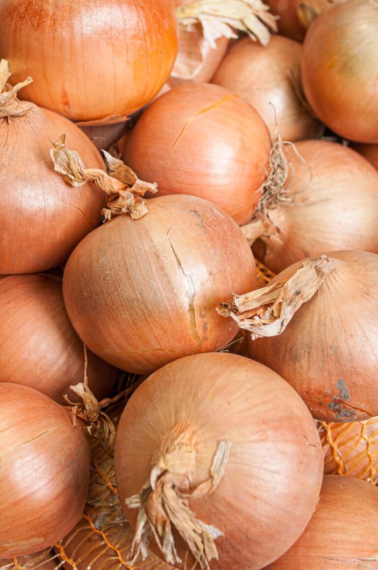 When to Harvest Onions for Optimal Flavor The Full Guide