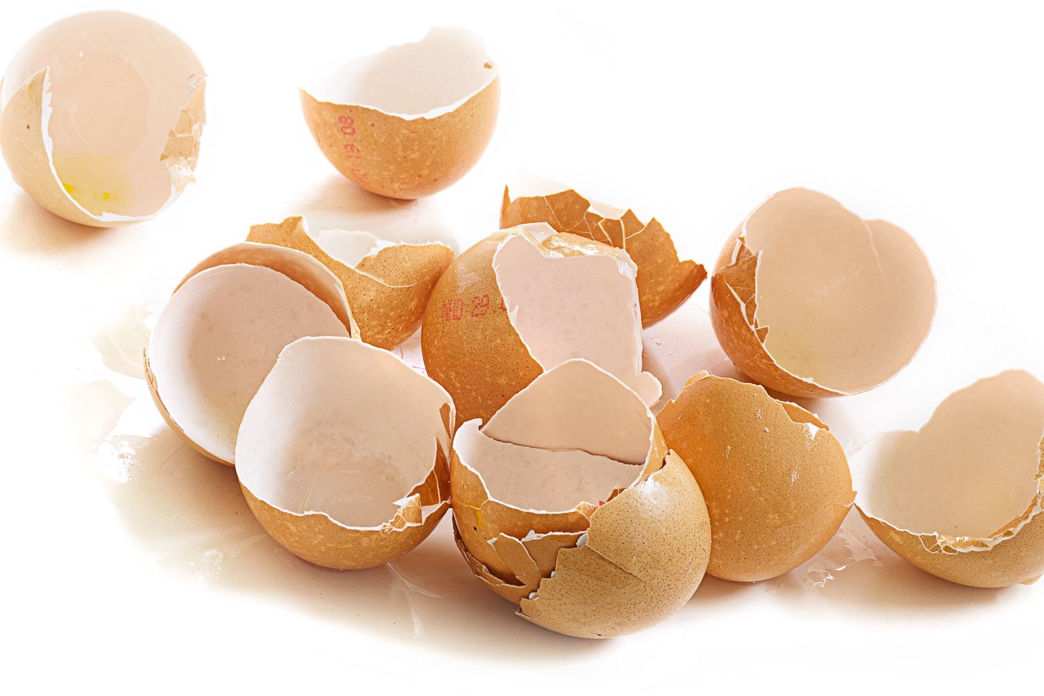 Cracked and cleaned brown egg shells on a bright white background.