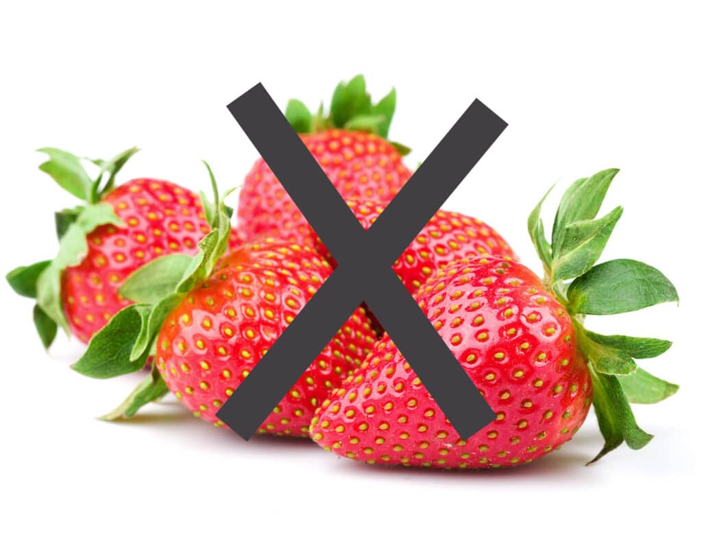 An image of a strawberry against a bright white background with a giant black X through the image to indicate that this is NOT a good companion for cabbage plants. 