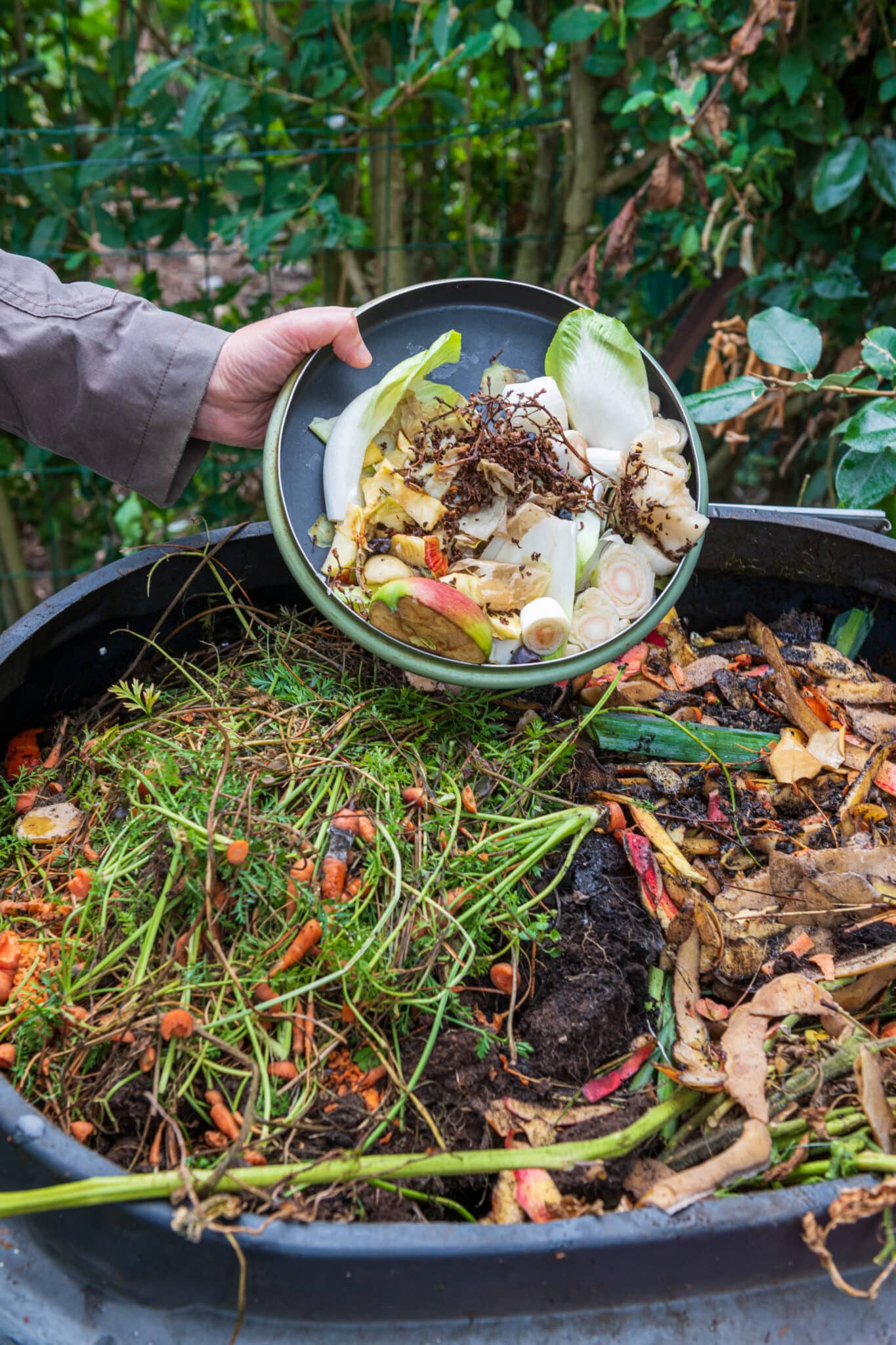 A big vat of organic compost with a gardener dumping in fresh scraps of produce.