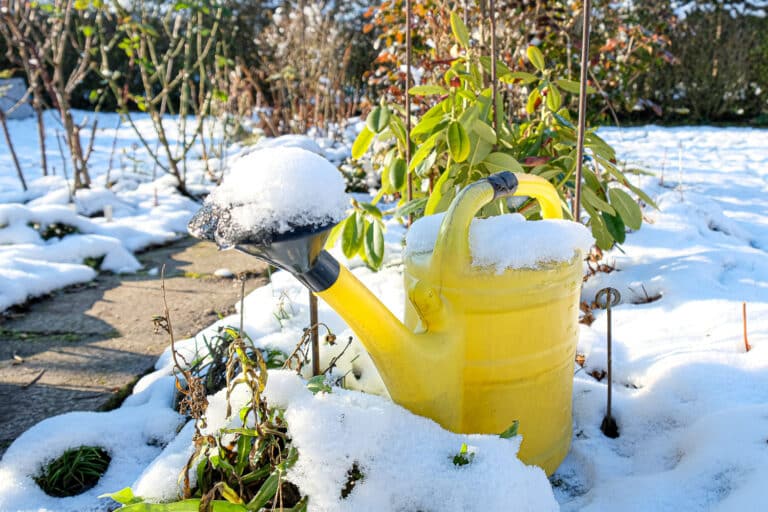 Winterize A Garden: Tips To Get You Ready For Spring
