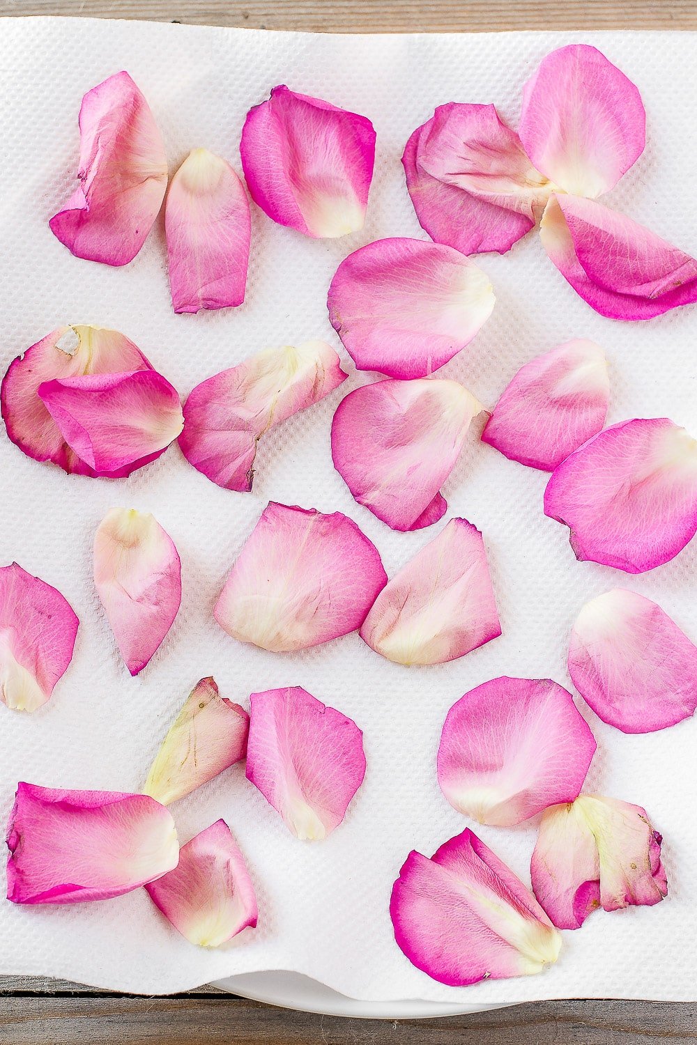 Rose petals arranged on a paper towel and microwave safe plate.