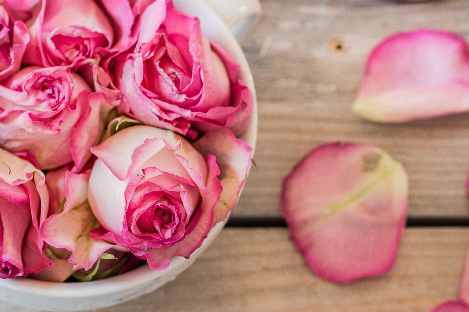 Freshly picked roses from the garden being prepared to have their petals dried.