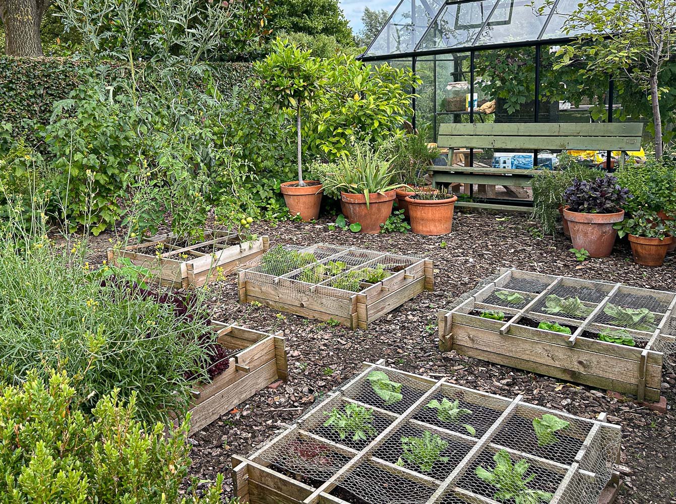 Kitchen Garden Preparedness: The Kitchen Storm Update Guide You Need Now - frlgbpp