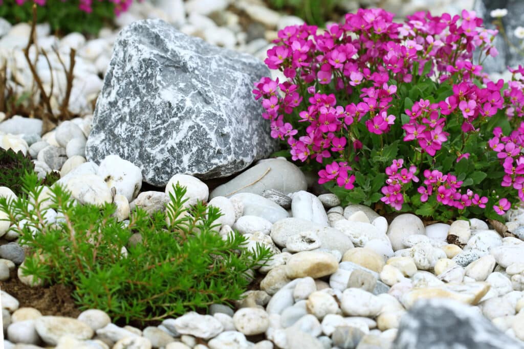Picture of 40 Drought-Tolerant Plants For Stunning Front Yard