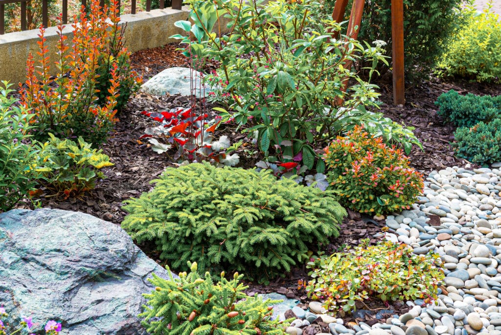 40 Drought-Tolerant Plants For Stunning Front Yard - Drought Tolerant Plants For Lawn