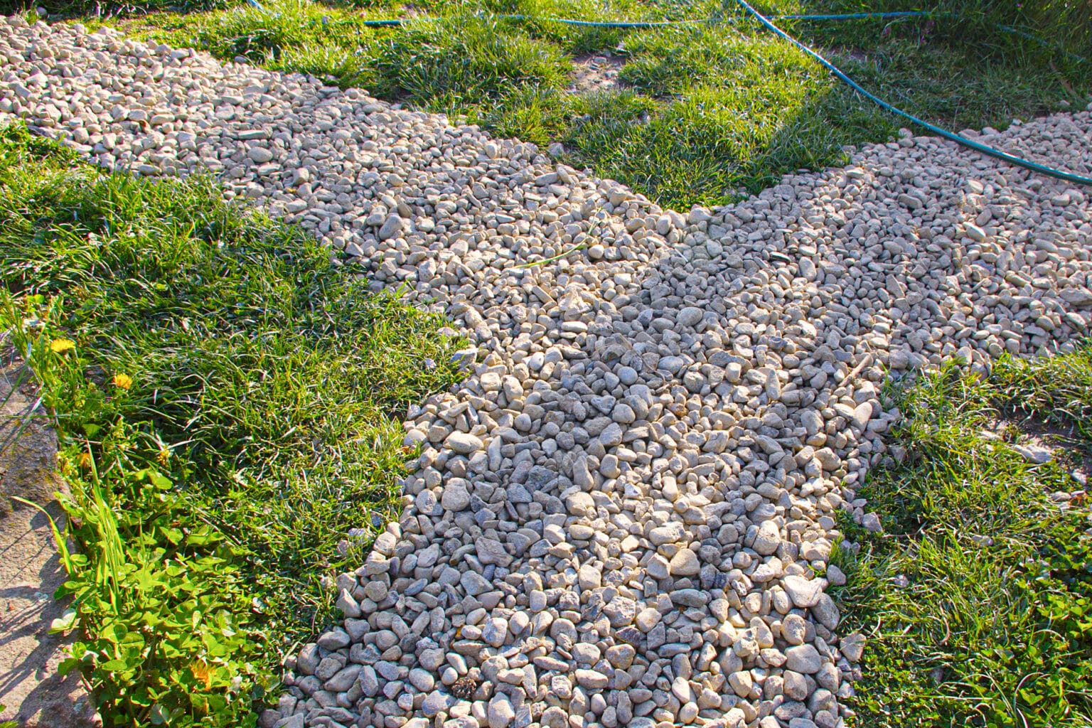 The Ultimate Guide to Drought-Tolerant Landscaping
