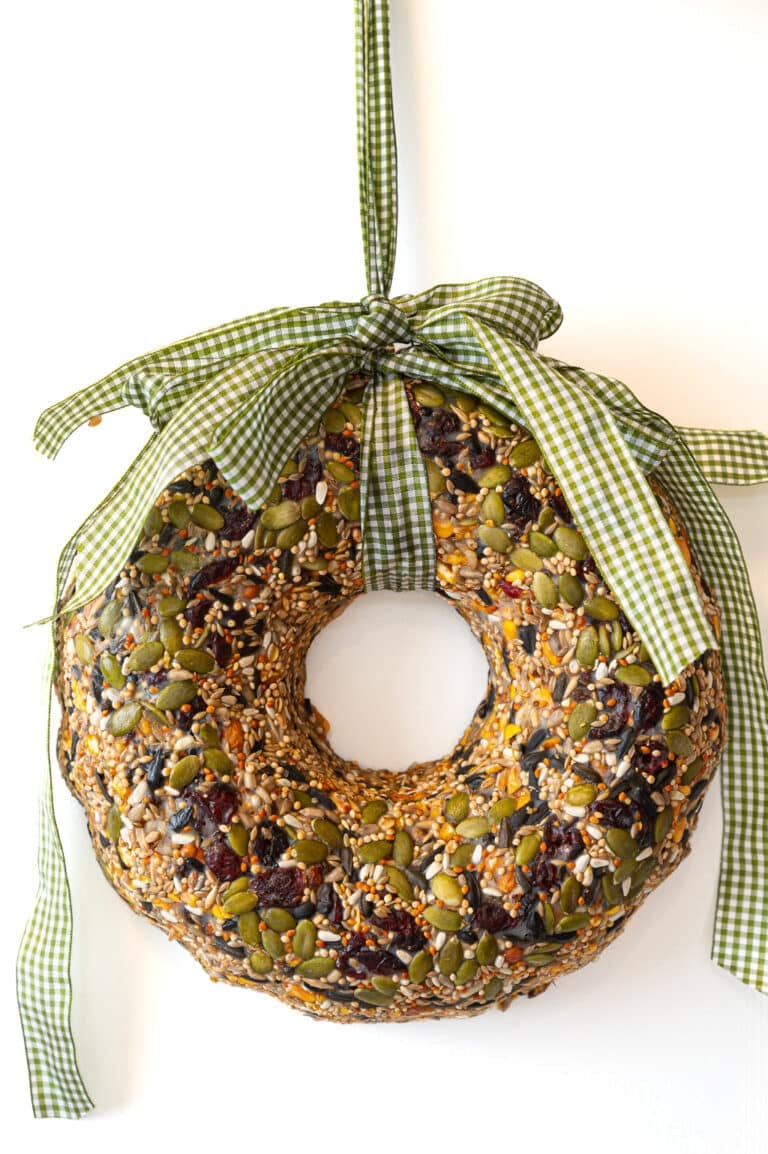 How to Make a Healthy Birdseed Wreath: A Festive DIY