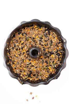 How To Make A Healthy Birdseed Wreath A Festive Diy