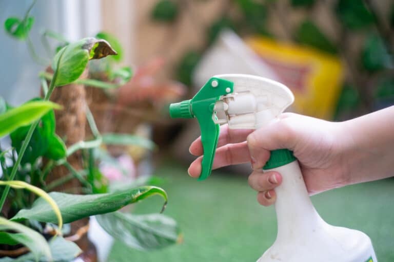 DIY Pesticide Recipes You Can Make at Home